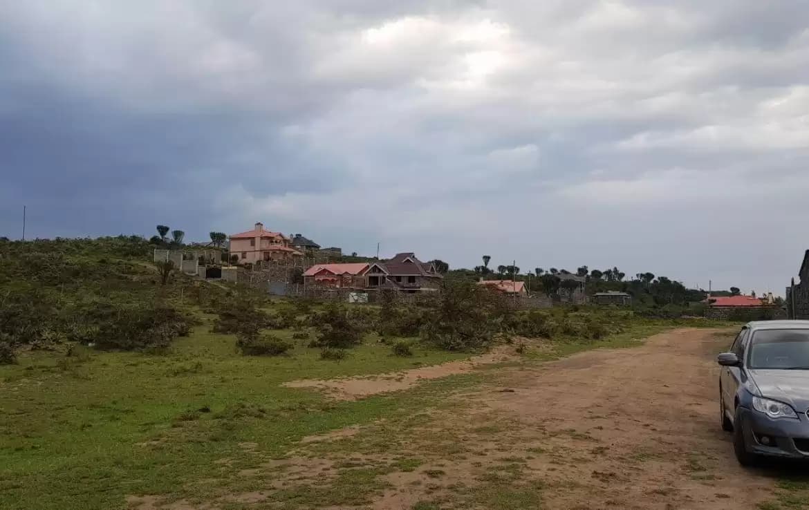 PEMA ESTATE photo 1