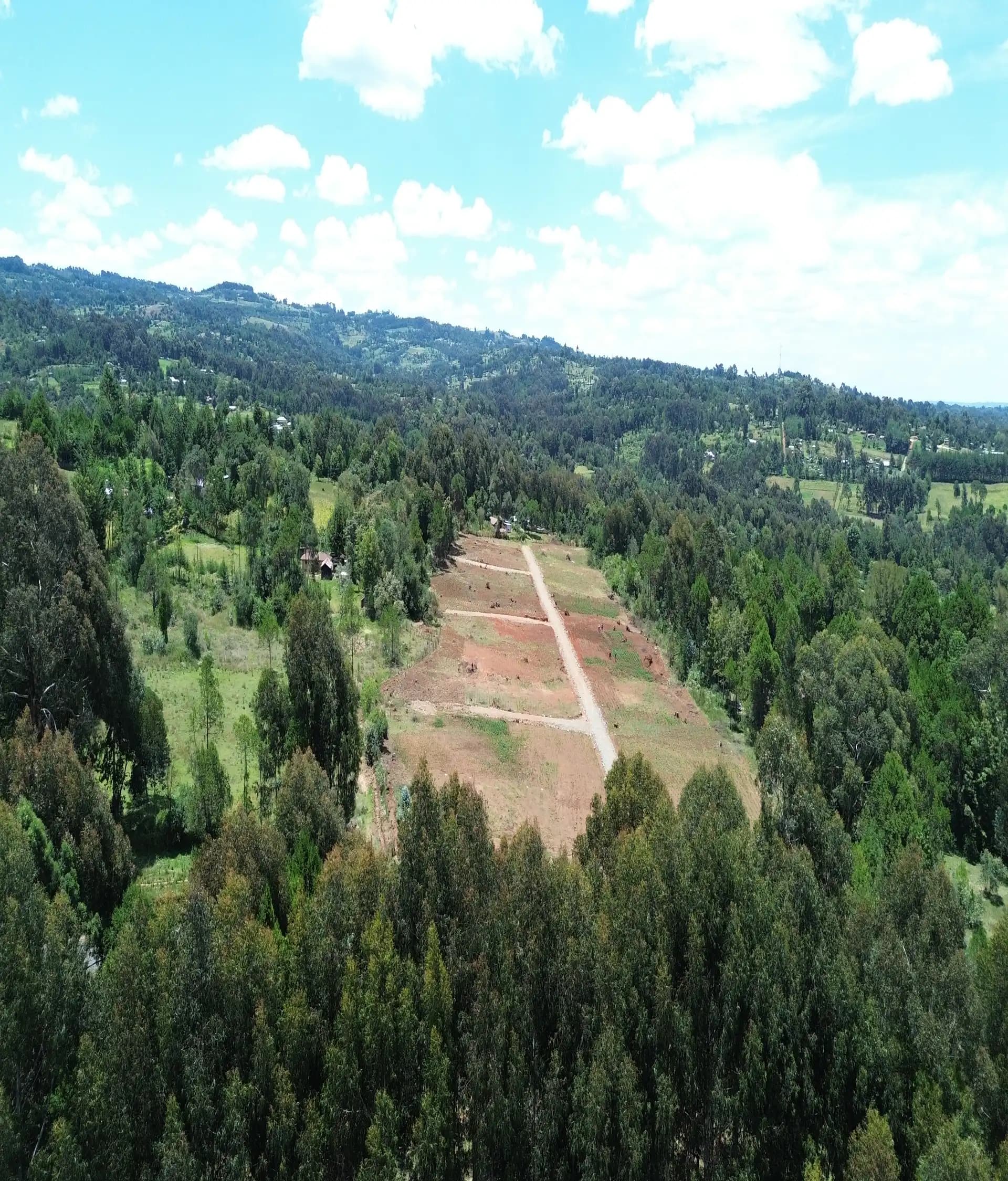 Jewel Estate photo 8