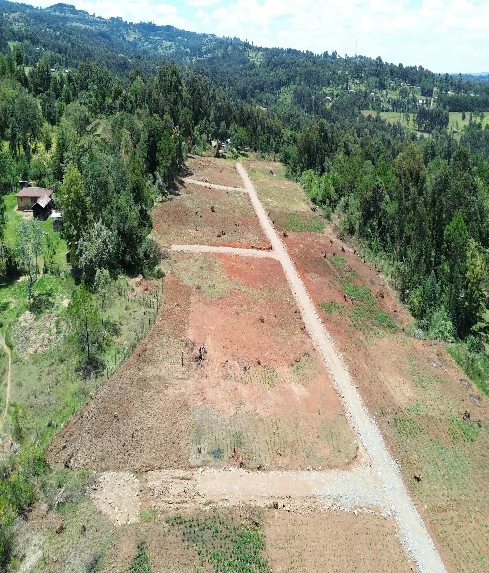 Jewel Estate photo 12