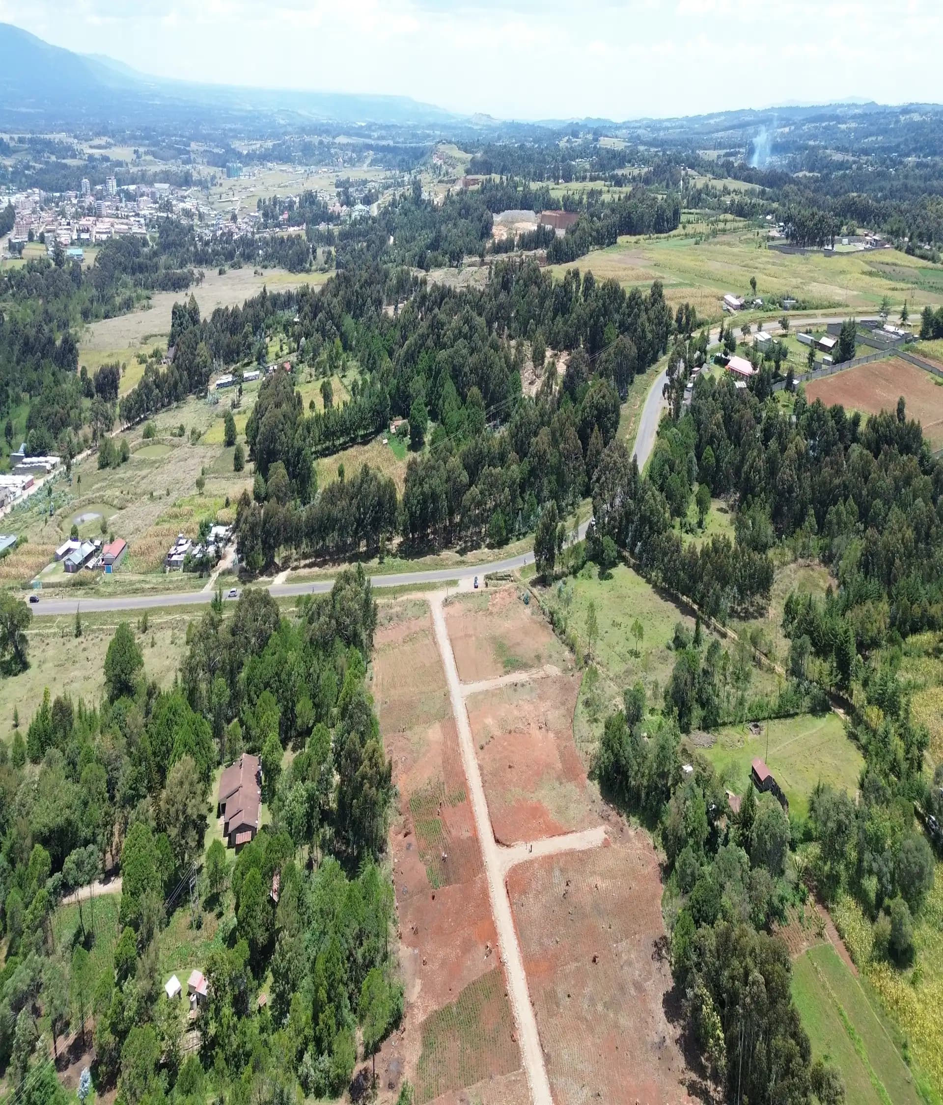 Jewel Estate photo 14